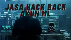 Hack back